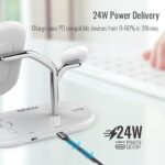 ⁦BONSAI⁩ - الصورة ⁦3⁩