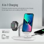 ⁦BONSAI⁩ - الصورة ⁦4⁩